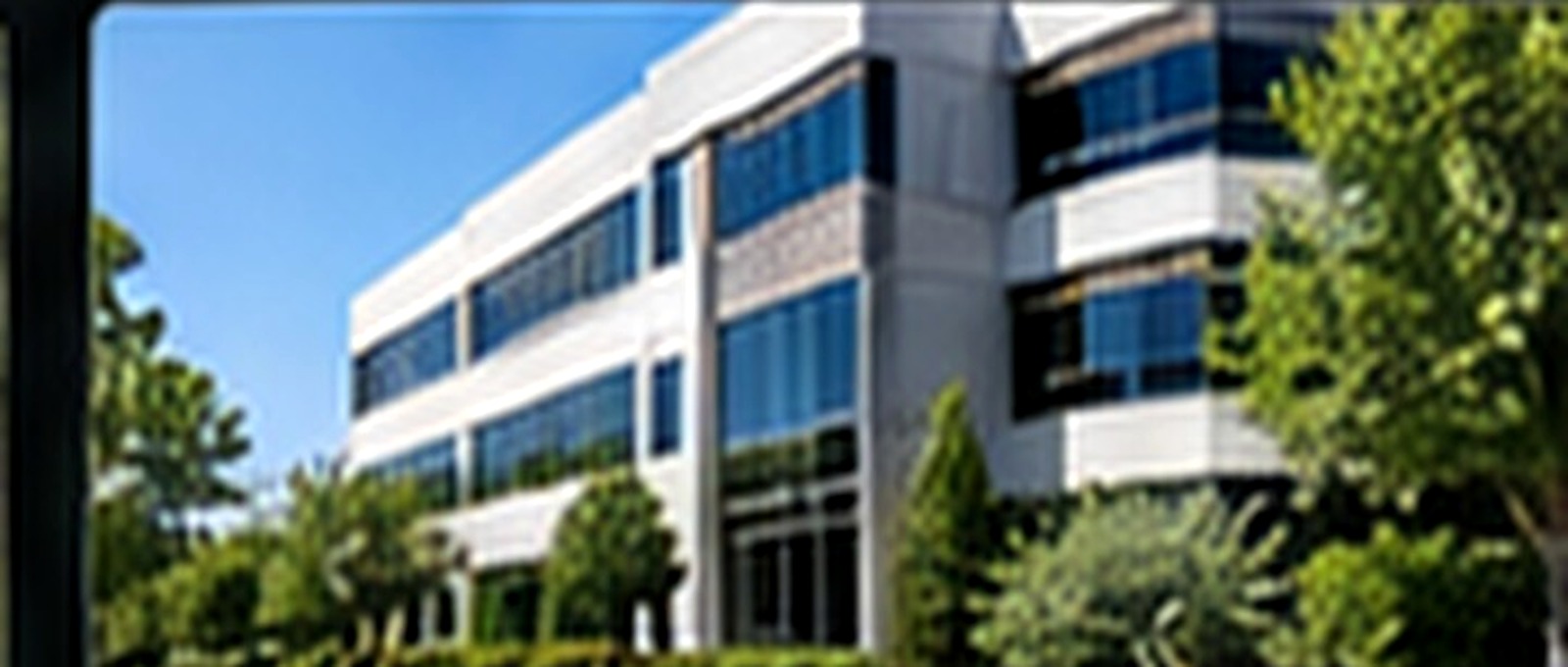 Professional commercial grounds maintenance