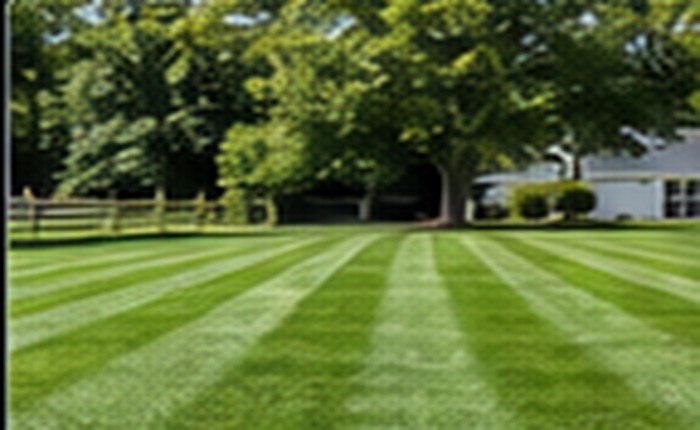 Lawn mowing