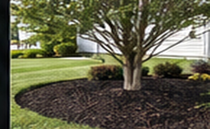 Mulch installation