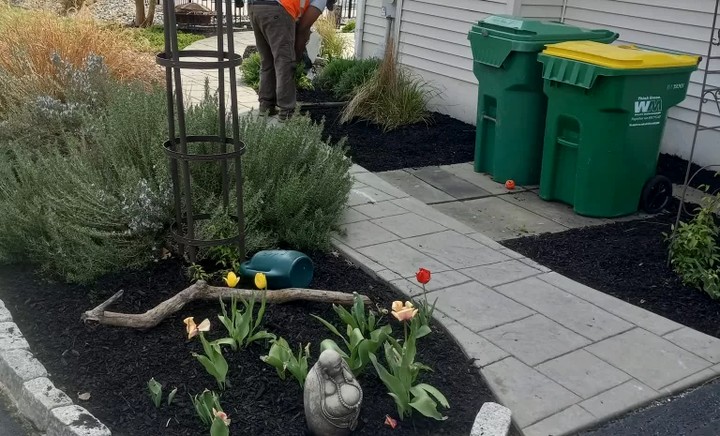 Gutter Cleaning