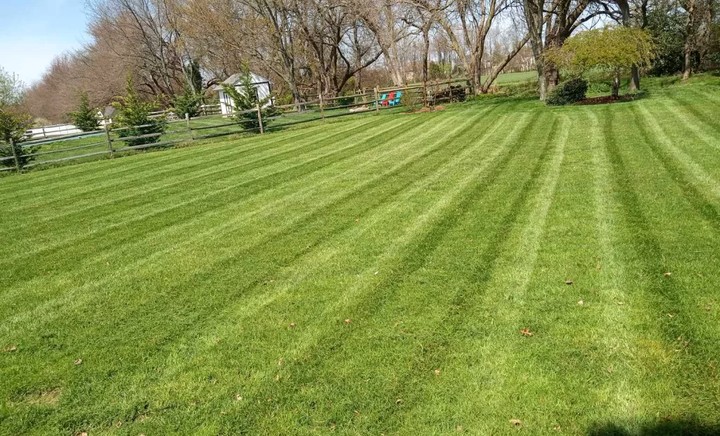 Commercial Lawn Mowing